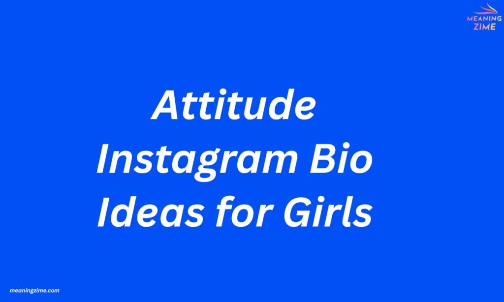 Attitude Instagram Bio Ideas for Girls