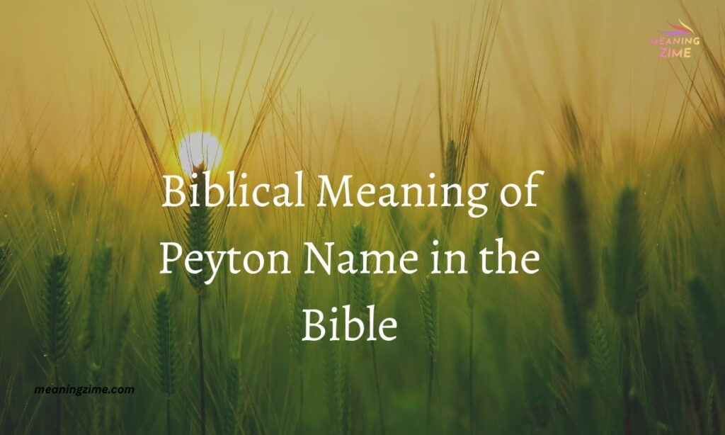 Biblical Meaning of Peyton Name in the Bible