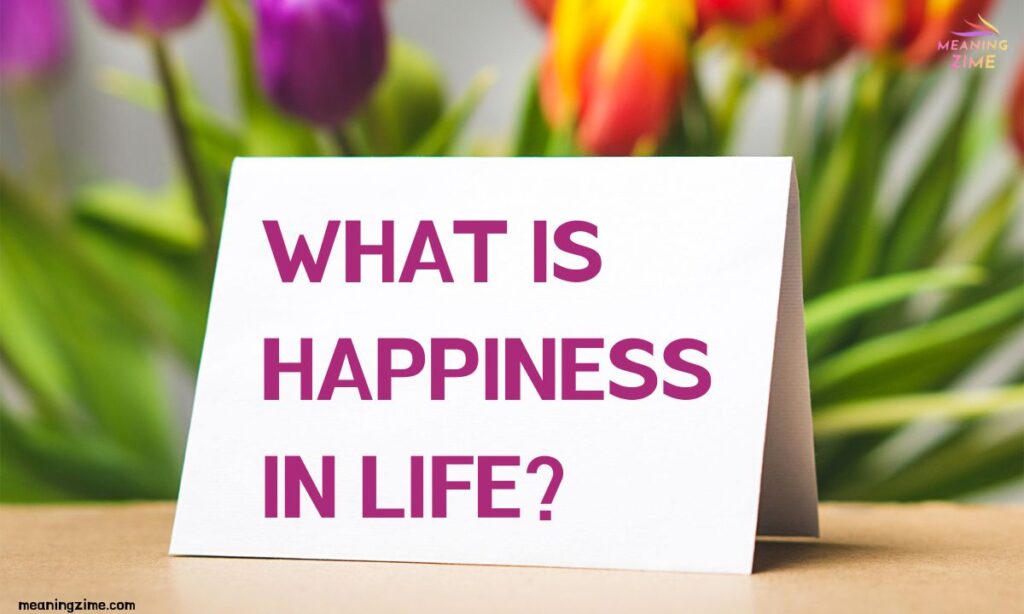 What is happiness in life?