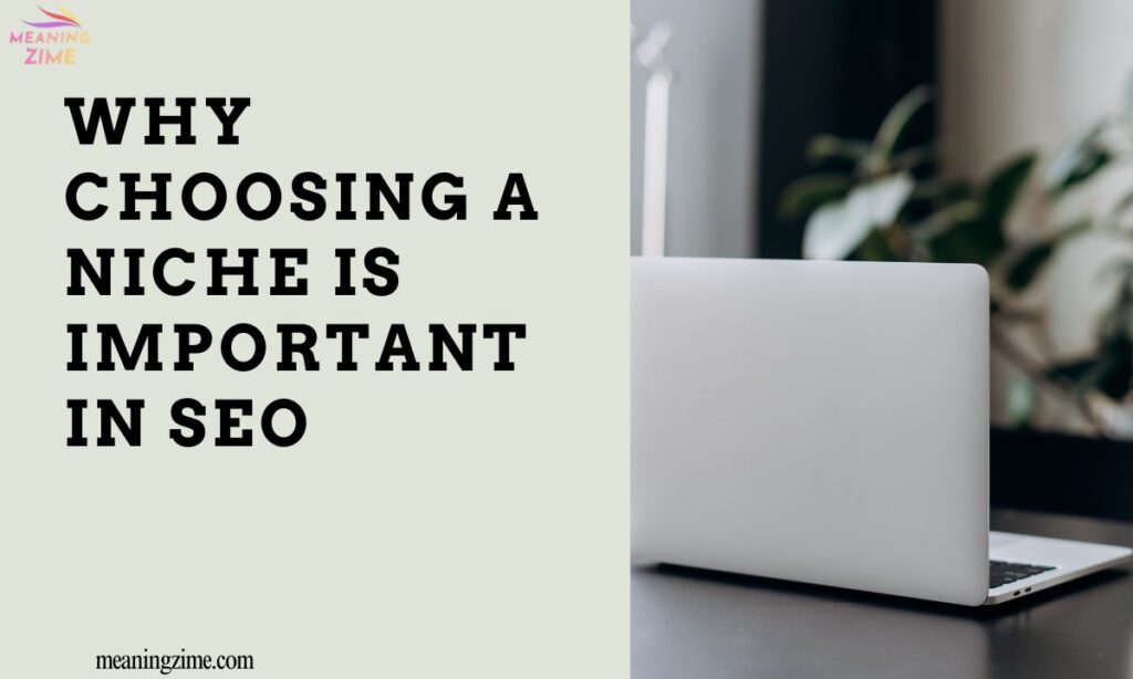 Why Choosing a Niche is Important in SEO