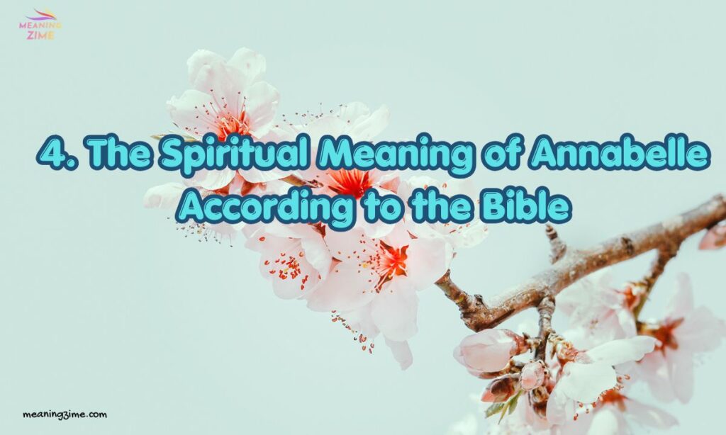 4. The Spiritual Meaning of Annabelle According to the Bible