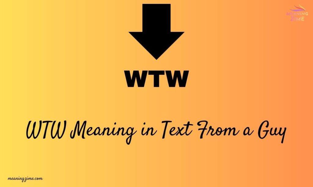WTW Meaning in Text From a Guy