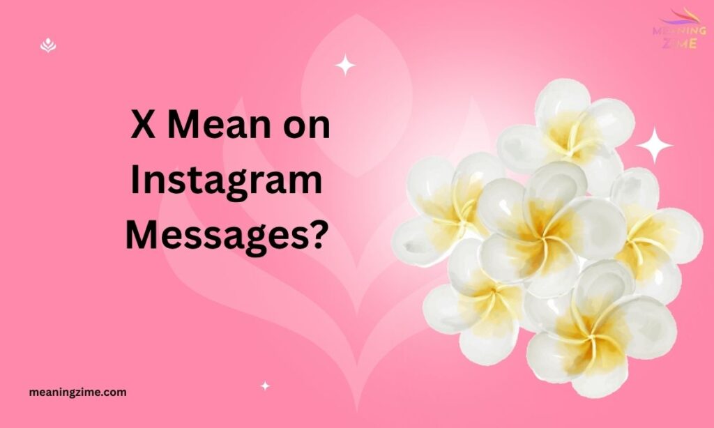 _X Mean on Instagram Messages