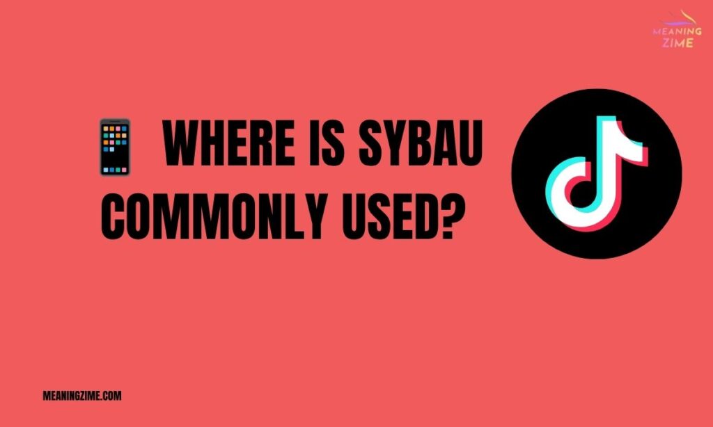 📱 Where Is SYBAU Commonly Used