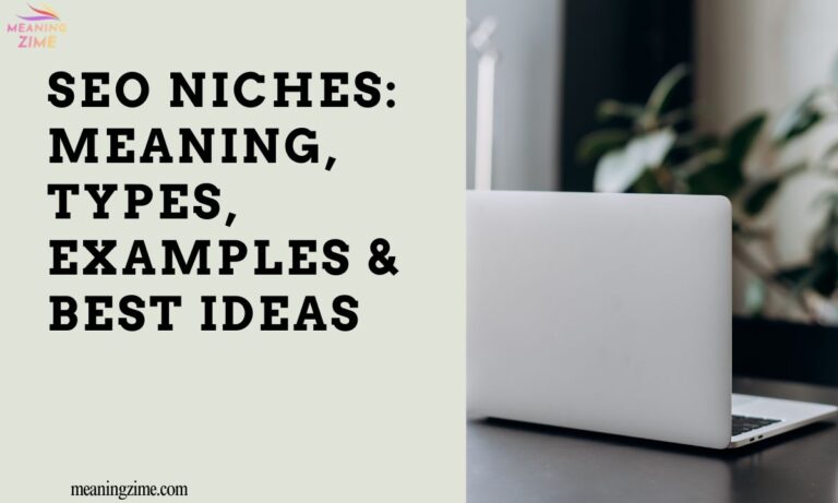 SEO Niches Meaning, Types, Examples & Best Ideas