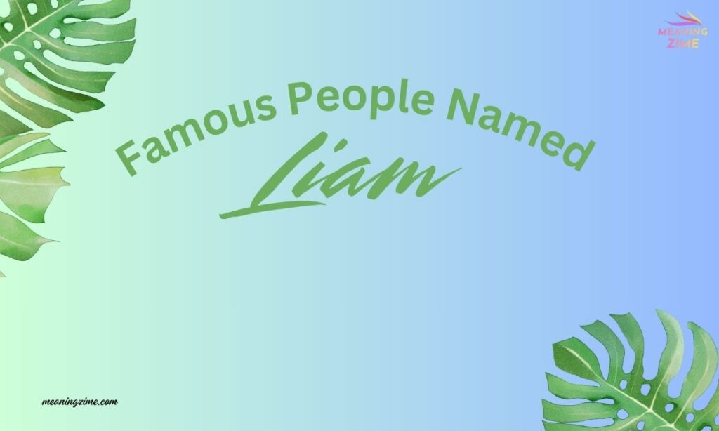 Famous People Named Liam