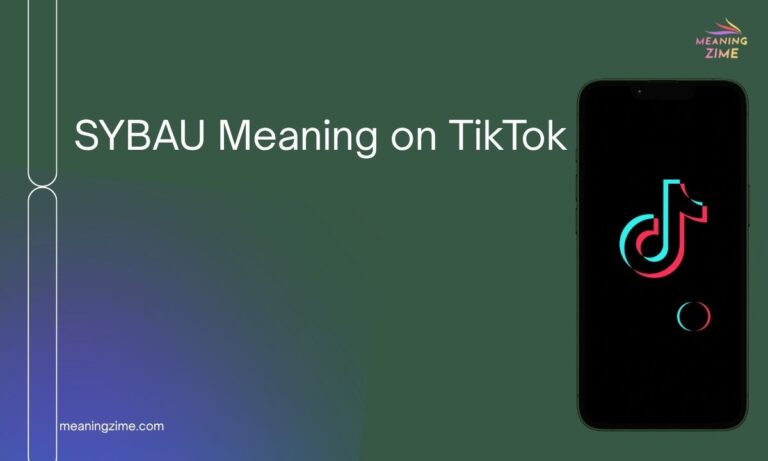 SYBAU Meaning on TikTok