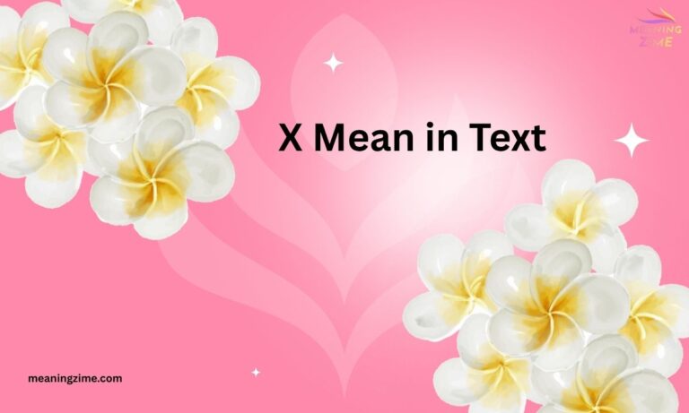 _X Mean in Text